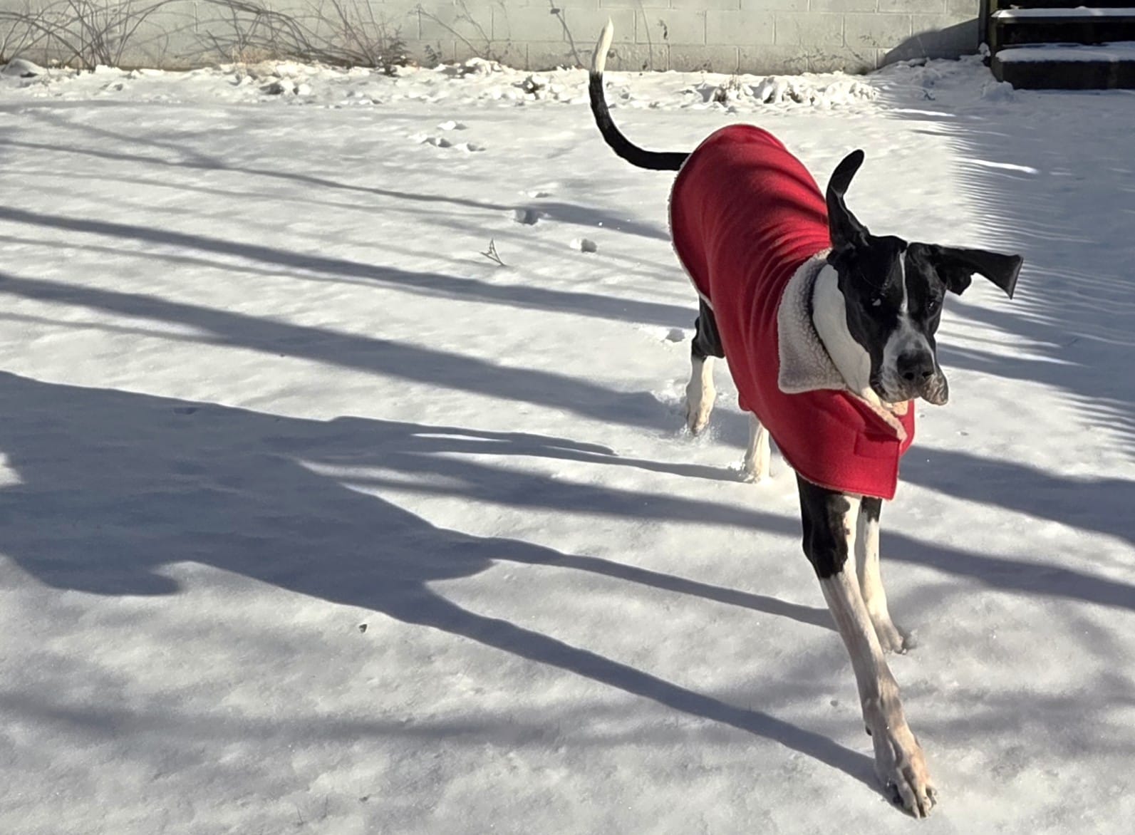 In Medford, Feb. 4, 2026