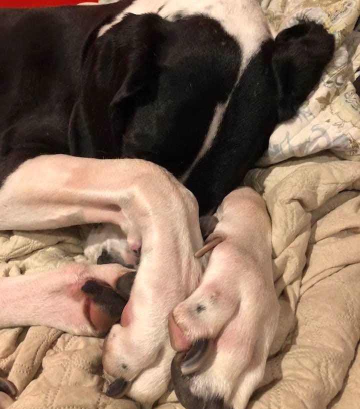 Medford, Friday, Feb. 13