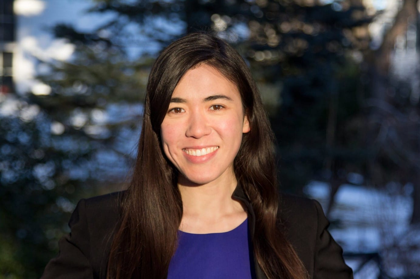 State Rep. Erika Uyterhoeven joins crowded bid to succeed retiring Sen. Jehlen