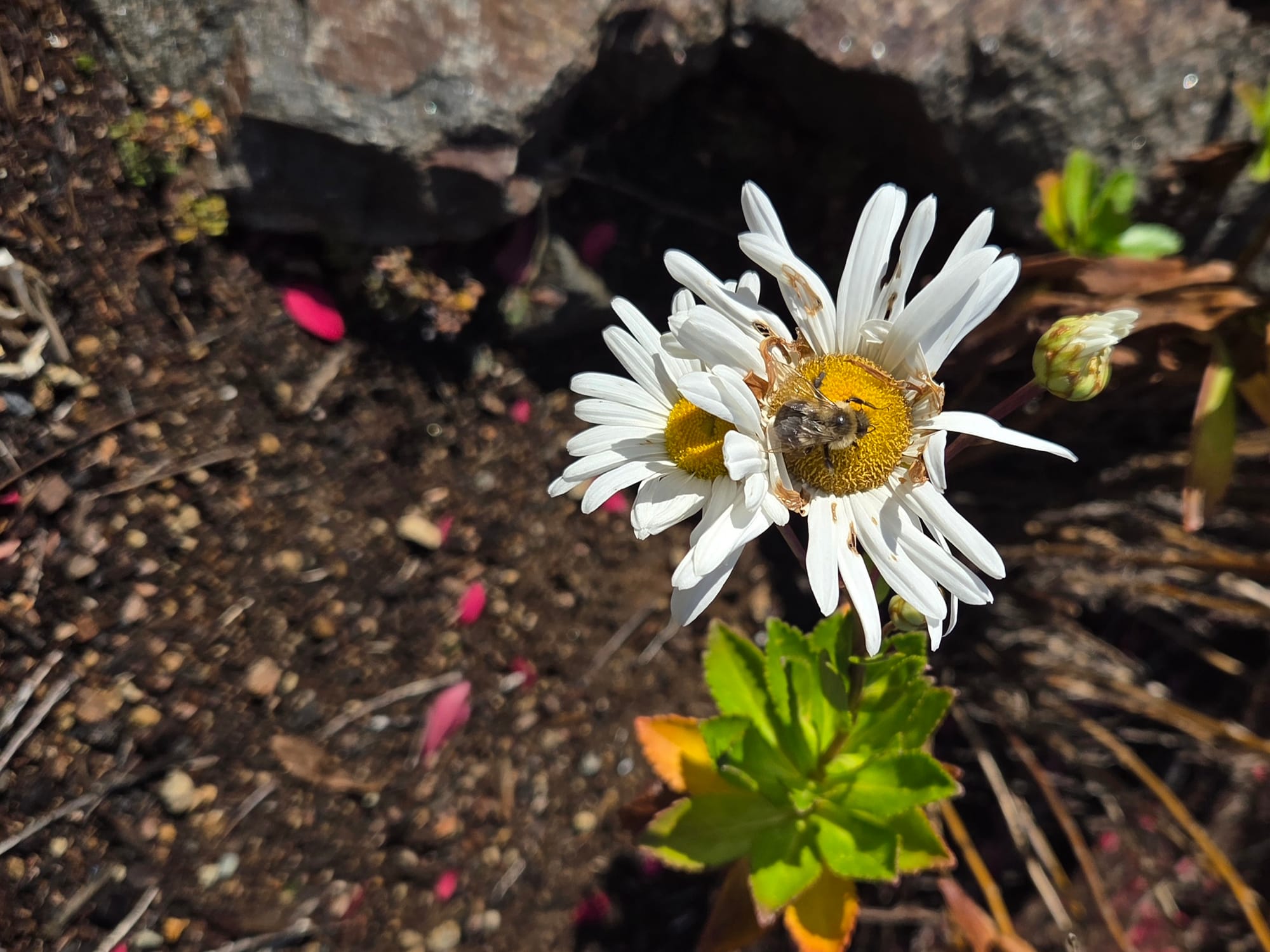 Crossing Paths: Positive encounters around town