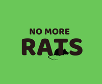 City Council to consider fines for violations of rodent control measures post image