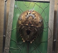 Medford, Wednesday, Feb. 18 post image