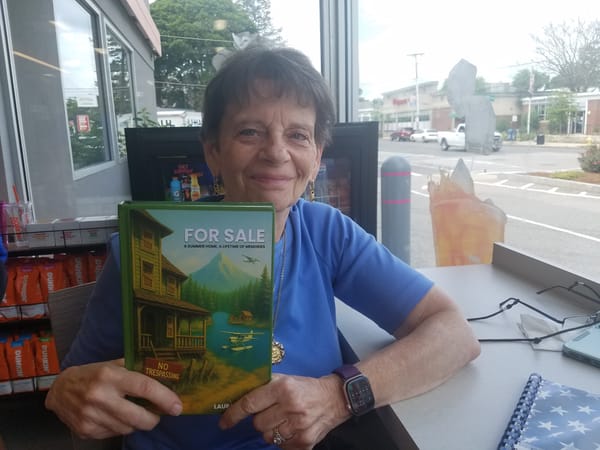 Medford’s Laura Najjar finds new career after publishing first novel post image