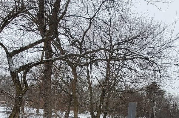 How many people are homeless in Medford? A count is happening tonight post image