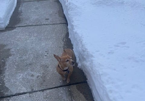 Good morning, Medford: Feb.  26, 2026 post image