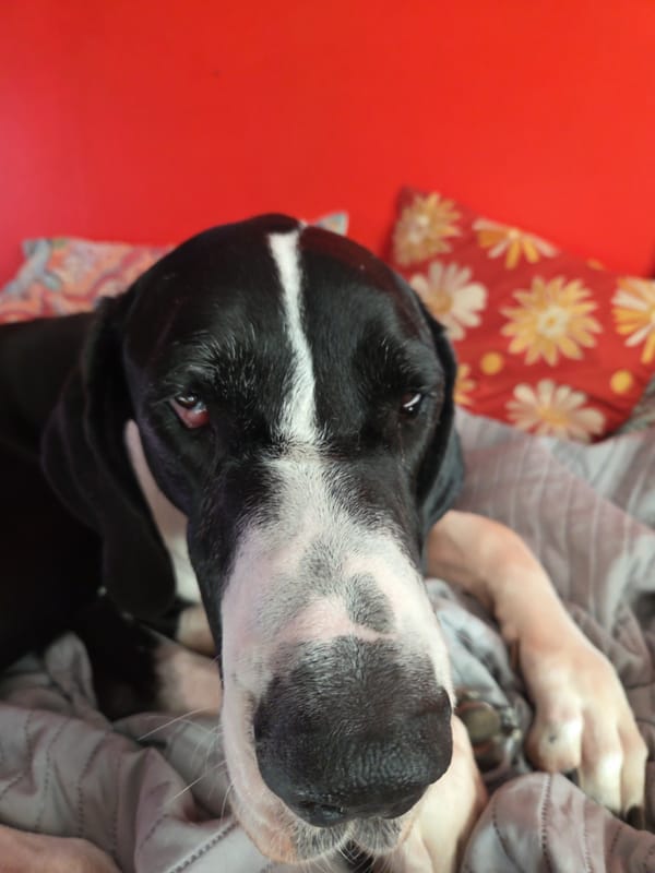 In Medford, Friday, Feb. 6 post image