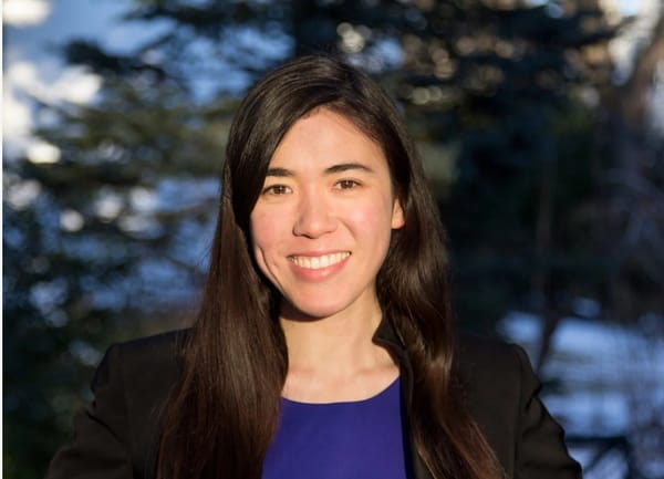 Three-term state Rep. Erika Uyterhoeven announces candidacy for 2nd Middlesex District Senate seat post image