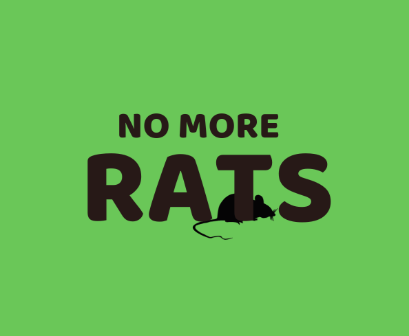 City Council to consider fines for violations of rodent control measures post image