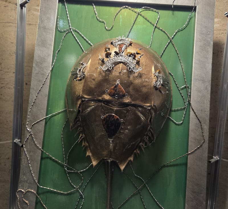 Medford, Wednesday, Feb. 18 post image